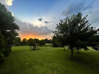 Lionsgate Estate Cottage - Dargle - 5