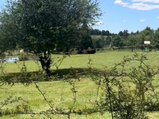 Lionsgate Estate Cottage - Dargle - 3