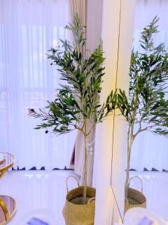 Ivys Cozy Homes Kampala B5 - 4