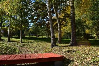 Ogród Shinrin Yoku (Haru) Odpoczynek w Lesie - 9