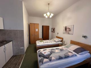 Aparthotel Mariazellerhof - 9