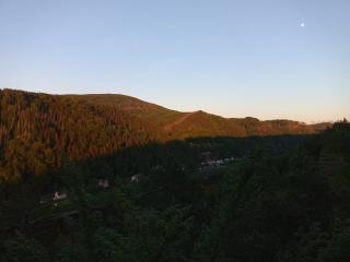 Ferienwohnung Kuhstall - 1