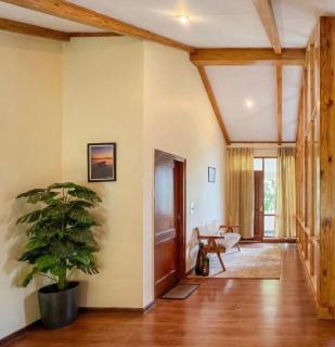 The ForestBound Cottage - 3