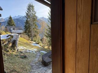 Revier am Waldrand - 9