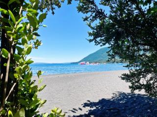 Refugio araucano - Lican Ray - 9