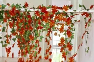 Bamboo - Sleeps 6 - Garden - Parking - 6