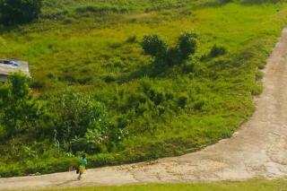 Bamboo - Sleeps 6 - Garden - Parking - 1