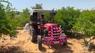 The Rishi Van,Khetri,Rajasthan - 7