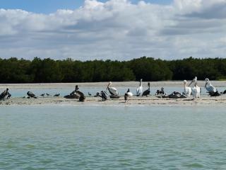 On Beach Seaside Sunset Haven 1 Nature & Chill - 3