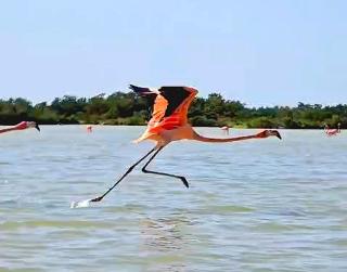 On Beach Seaside Sunset Haven 2 - Epic Sea View - Chuburná - 1