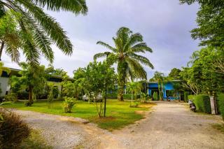 Little Purple House- AoNang - 9