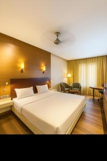 Hotel Indraprastha - 7