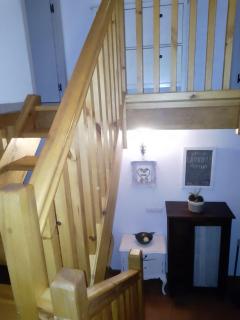 El Rinconin de Degu - 3