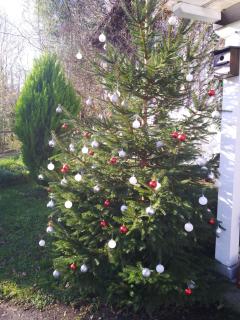 El Rinconin de Degu - 6