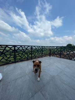 Wine Valley Villas - 4