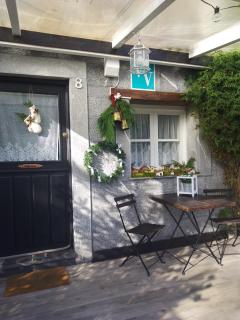 El Rinconin de Degu - 8