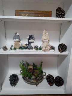 El Rinconin de Degu - 9