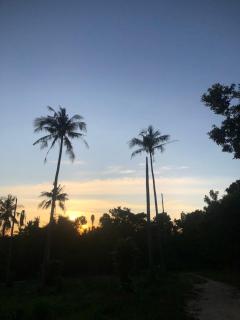 The Sun homestay - 8