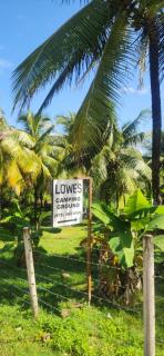 Lowes Camping Ground & Retreat - 8