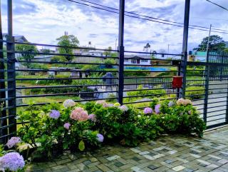 New Pensive Villa - 2