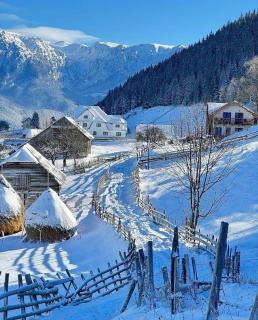 Casa de sub Munte Fundata2 - 9