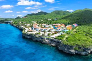 Ocean Hibiscus, Punta Azul, Curacao - 2