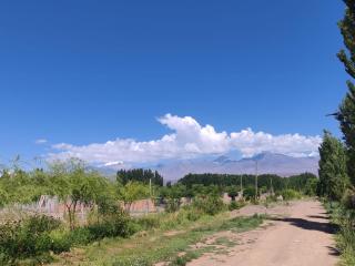 Cabaña Estelares Barreal - 2