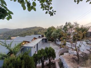 The woodpecker nest by lake & woods - 4