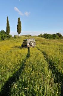 Fattoria Barbialla Nuova - 5