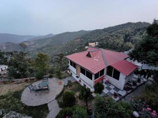 The woodpecker nest by lake & woods - 4