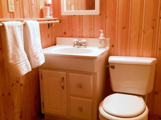 Welcome to the Dancing Bear Cabin Sleeps 8 - 1