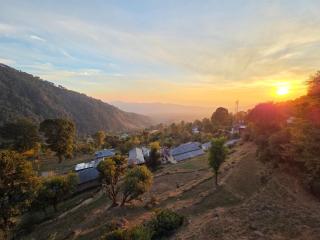 Sowa Stays - BIR - 7