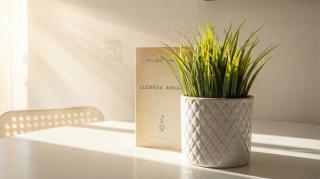 Wonderful apt with terrace - 15m walk Giralda - 2