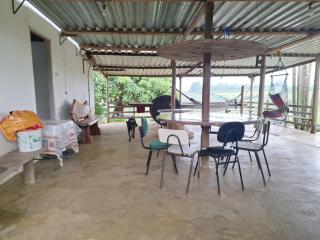 Sítio ypê amarelo - 2