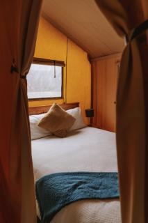 Raglan Rural Retreats - Kauri Tent - 8