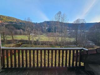 appartement le petit chalet sauna - 1