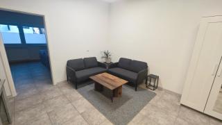 Urlaub am Rhein Speyer Hockenheim Mannheim - 9