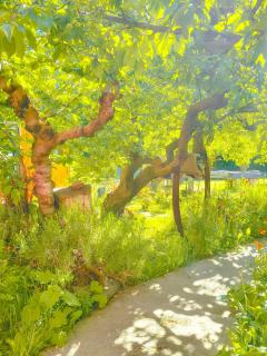 Calafate Viejo Hostel - 7