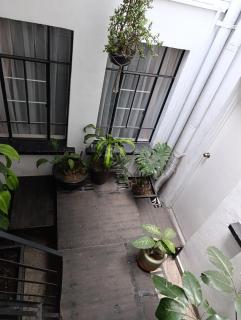 Casa Kalan Condesa - 3