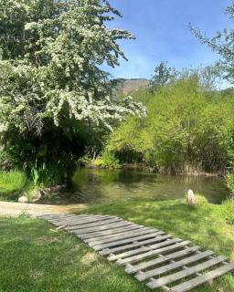 Los Coihues camping & hostel - 5