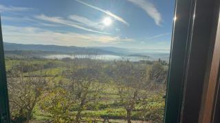 Casa Vacanze Il Puggio - Capolona - 3