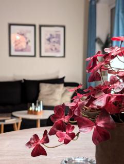 Hillside Top-Row Apartment, Stunning Views - 5