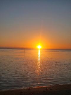 Bungalow paradisiaque en bord de lagon Fare Ananda - 9