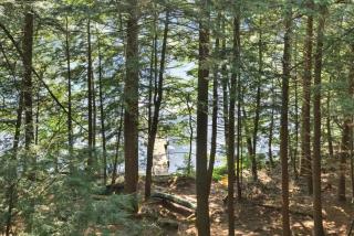 Lakefront Log Home on Huge Lake in Private Cove - 6