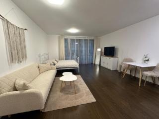 Evas Cozy Studio Prague - 8