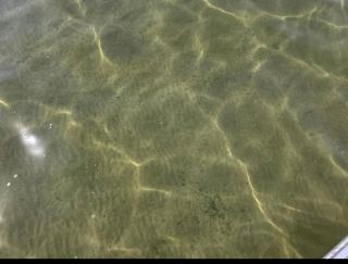 Bella Shores - Stunning Sunsets and Sandy Shoreline - 7