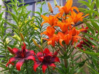 Hidden Gem - St Mary's - 8