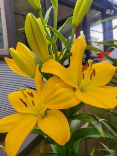 Hidden Gem - St Mary's - 1