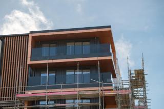 Newly Built 1BR Apartment near Te Kaha Stadium - 4