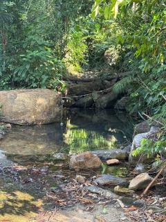 Little Bailan Retreat - Jungle & river view - 9